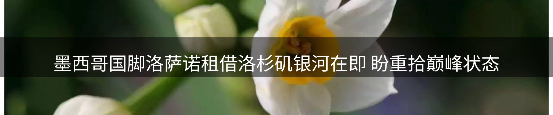 资讯记录