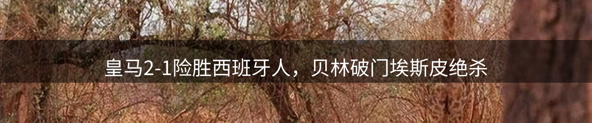 资讯记录