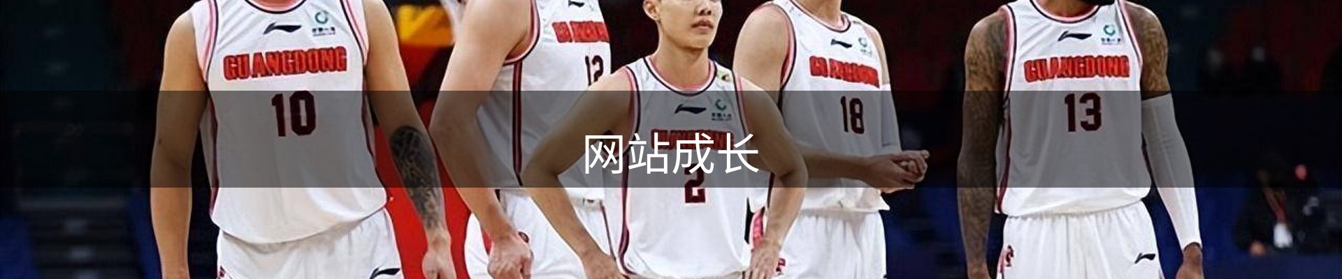 网站成长