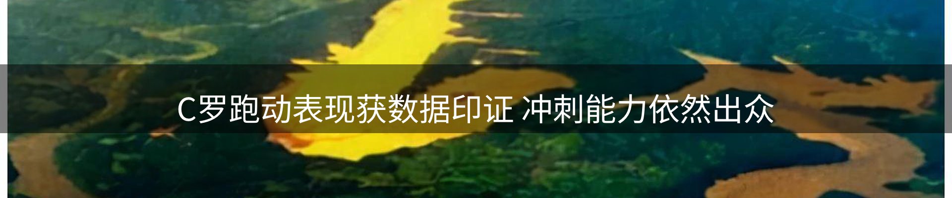 资讯记录